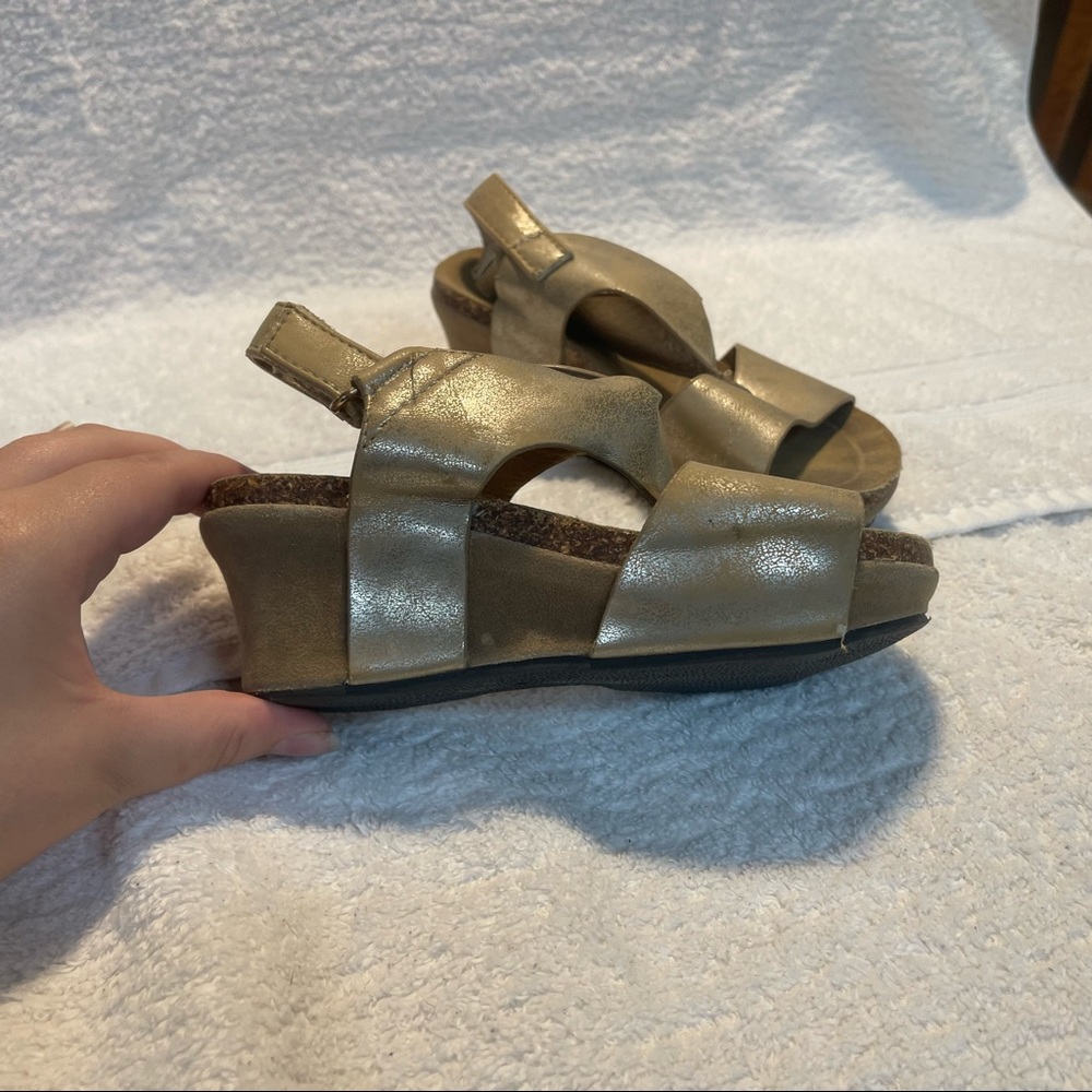 Pierre Dumas Brown Shiny Wedges